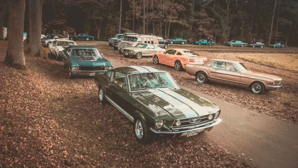 Alte und neue US-Cars parken wild durcheinander unter Bäumen bei der Saisonabschlussfahrt des Saturday Nightcruise SNC Nürnberg