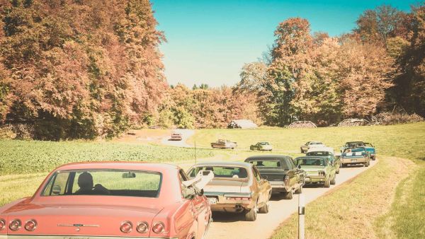 12 klassische US-Cars schlängeln sich vor herbstlichen Laubbäumen eine Straße hinauf
